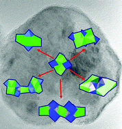 Graphical abstract: Heteroleptic metal alkoxide “oxoclusters” as molecular models for the sol–gel synthesis of perovskite nanoparticles for bio-imaging applications