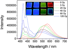 Graphical abstract: Fluorescence resonance energy transfer in conjugated polymer composites for radiation detection