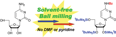 Graphical abstract: Fast, quantitative nucleoside protection under solvent-free conditions