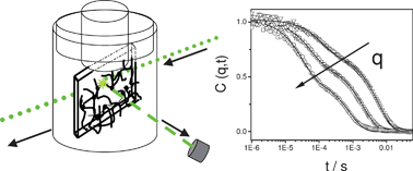 Graphical abstract: Dynamics of swollen gel layers anchored to solid surfaces