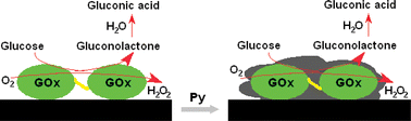 Graphical abstract: Self-encapsulation of oxidases as a basic approach to tune the upper detection limit of amperometric biosensors