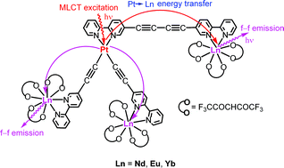 Graphical abstract: Sensitization of lanthanide luminescence by two different Pt → Ln energy transfer pathways in PtLn3 heterotetranuclear complexes with 5-ethynyl-2,2′-bipyridine