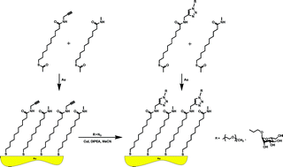 Graphical abstract: A modular approach for the construction and modification of glyco-SAMs utilizing 1,3-dipolar cycloaddition