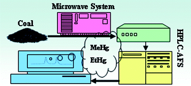 Graphical abstract: Speciation of mercury in coal using HPLC-CV-AFS system: Comparison of different extraction methods