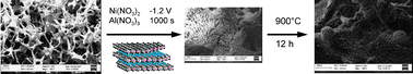 Graphical abstract: Highly conductive Ni steam reforming catalysts prepared by electrodeposition