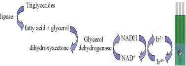 Graphical abstract: Detection of triglyceride using an iridium nano-particle catalyst based amperometric biosensor