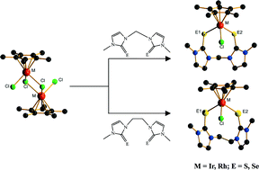 Graphical abstract: Syntheses and structures of half-sandwich iridium(iii) and rhodium(iii) complexes with organochalcogen (S, Se) ligands bearing N-methylimidazole and their use as catalysts for norbornene polymerization