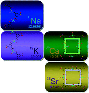 Graphical abstract: Copper 5-sulfoisophthalato quasi-planar squares in coordination polymers modulated by alkaline-earth metals: a way to molecular squares?