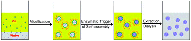 Graphical abstract: Controlling self-assembly within nanospace for peptide nanoparticle fabrication