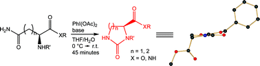 Graphical abstract: Synthesis of imidazolidin-2-one-4-carboxylate and of (tetrahydro)pyrimidin-2-one-5-carboxylatevia an efficient modification of the Hofmann rearrangement
