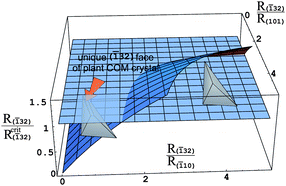 Graphical abstract: Theoretical analysis of specific evolution of some faces of plant COM crystals
