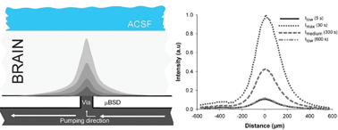 Graphical abstract: Microfluidic add-on for standard electrophysiology chambers