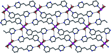 Graphical abstract: Supramolecular architectures based on transition metal complexes with 1-(3-pyridyl)-2-(4′-pyrimidyl)ethene