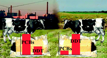 Graphical abstract: Spatial biomonitoring of persistent organic pollutants in Iran: a study using locally produced butter