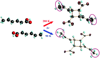 Graphical abstract: Competitive isomerization and dimerization in co-crystals of 1,1,6,6-tetraphenyl-2,4-hexadiyne-1,6-diol and sorbic acid: a new look at stereochemical requirements for [2+2] dimerization