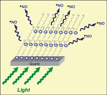 Graphical abstract: Nitric oxide photoreleasing multilayer films