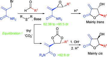 Graphical abstract: A stereodivergent synthesis of β-hydroxy-α-methylene lactonesvia vinyl epoxides