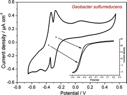 Graphical abstract: On the use of cyclic voltammetry for the study of anodic electron transfer in microbial fuel cells