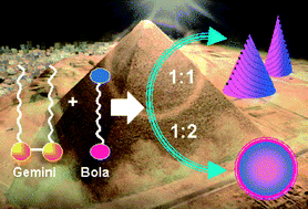 Graphical abstract: Chiral cones and vesicles from Gemini-type fatty acid–heteroditopic amine mixtures