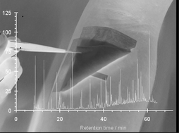 Graphical abstract: The analytical utility of thermally desorbed polydimethylsilicone membranes for in-vivo sampling of volatile organic compounds in and on human skin