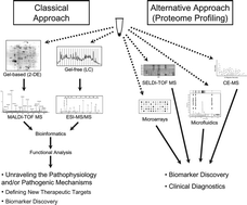 Graphical abstract: Urinary proteomics: towards biomarker discovery, diagnostics and prognostics