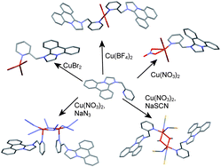 Graphical abstract: Supramolecular self-assembly and anion-dependence of copper(II) complexes with cationic dihydro-imidazo phenanthridinium (DIP)-containing ligands