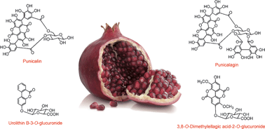 Graphical abstract: Dietary phenolics: chemistry, bioavailability and effects on health