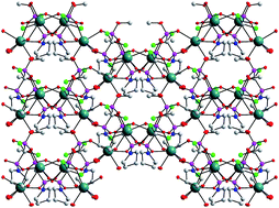 Graphical abstract: A structural study of alkaline earth metal complexes of (dichloromethylene)bisphosphonic acid P-morpholinium- and P-pyrrolidinium-P′-methyl esters