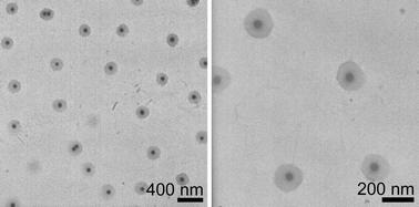 Graphical abstract: Thermoresponsive core–shell microgels with silica nanoparticle cores: size, structure, and volume phase transition of the polymer shell