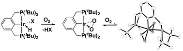 Graphical abstract: Reactions of iridium hydride pincer complexes with dioxygen: new dioxygen complexes and reversible O2 binding