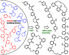 Graphical abstract: Platform technology for dienone and phenol–formaldehyde architectures