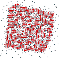 Graphical abstract: Electrostatic control of self-organization: the role of charge gradients in heterogeneous media