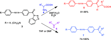 Graphical abstract: Convenient preparations of azo-dye labeled amino acids and amines