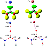 Graphical abstract: The importance of the oxidative character of doubly charged metal cations in binding neutral bases. [Urea-M]2+ and [thiourea-M]2+ (M = Mg, Ca, Cu) complexes