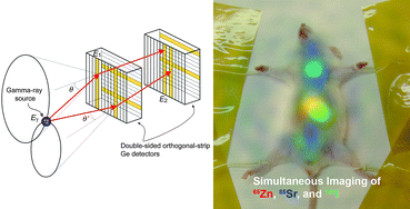 Graphical abstract: Multiple molecular simultaneous imaging in a live mouse using semiconductor Compton camera