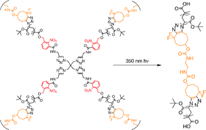Graphical abstract: Copper-free click chemistry for the in situ crosslinking of photodegradable star polymers