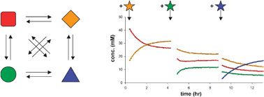 Graphical abstract: Real-time monitoring of a dynamic molecular system using 1H-13C HSQC NMR spectroscopy with an optimized 13C window