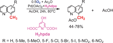 Graphical abstract: Catalytic aerobic oxidation of substituted 8-methylquinolines in PdII-2,6-pyridinedicarboxylic acid systems