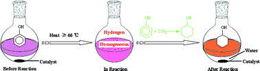 Graphical abstract: Aqueous system for the improved hydrogenation of phenol and its derivatives