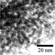 Graphical abstract: Preparation of mesoporous polyoxometalate-tantalum pentoxide composite catalyst and its application for biodiesel production by esterification and transesterification