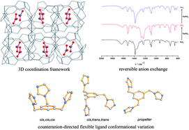 Graphical abstract: Structure diversity and reversible anion exchange properties of cadmium(ii) complexes with 1,3,5-tris(imidazol-1-ylmethyl)benzene: counteranion-directed flexible ligand conformational variation