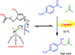 Graphical abstract: Biocatalytic promiscuity: the first lipase-catalysed asymmetric aldol reaction