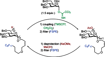 Graphical abstract: Toward solution-phase automated iterative synthesis: fluorous-tag assisted solution-phase synthesis of linear and branched mannose oligomers