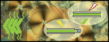 Graphical abstract: Bent-core liquid crystals in the route to functional materials