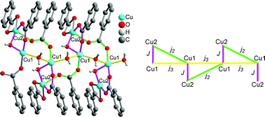 Graphical abstract: 2 ∞ [Cu2(μ5-btb)(μ-OH)(μ-H2O)]: a two-dimensional coordination polymer built from ferromagnetically coupled Cu2 units (btb = benzene-1,2,3-tricarboxylate)