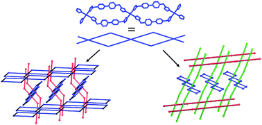 Graphical abstract: Metal–organic coordination frameworks assembled with the long flexible ligand 4,4′-bis(imidazol-1-ylmethyl)biphenyl
