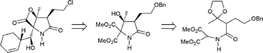 Graphical abstract: A concise and straightforward total synthesis of (±)-salinosporamide A, based on a biosynthesis model