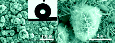 Graphical abstract: Superhydrophobic pure silver surface with flower-like structures by a facile galvanic exchange reaction with [Ag(NH3)2]OH