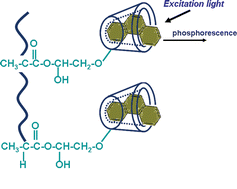 Graphical abstract: Novel β-cyclodextrin modified organic polymeric monolithic substrate for solid phase extraction-room temperature phosphorescence