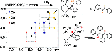 Graphical abstract: Palladium catalysed alkyne hydrogenation and oligomerisation: a parahydrogen based NMR investigation